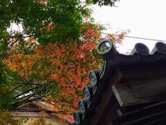 鎌倉宮から静かな住宅地を徒歩１５分ほど歩くと瑞泉寺です。

山門の瓦屋根に紅葉の「朱」が目に付きました。

