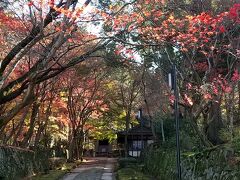 次に訪問したのは、金剛輪寺。
もちろん、ここも落葉紅葉。