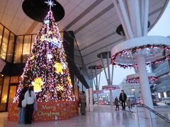 　4時、駅前イオンでは、クリスマスツリーに明かりが点りました。