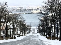 こちらも有名な八幡坂。
車道は雪が溶けてますが周りはしっかり積もってます。
人通りも増え、徐々に新雪が踏み固められツルツルに。
旧公会堂からここまで来るのに一度滑ってこけました…痛かった。