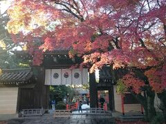 今宮神社