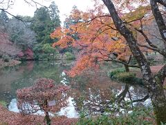 名画を鑑賞した後は隣接する植物園へ