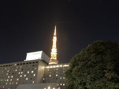 冬は暗くなるのが早い。
あちこちの野暮用を済ませてたら
東京プリンスに着く頃はすっかり暗くなってしまった。
ここに来てこの景色を見るのもすごく久しぶり。