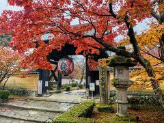 そして次にバスに乗りやってきたのは「金剛輪寺」でした。
総門では『聖観音』と書かれた大きな提灯が目をひきました。

金剛輪寺のご本尊は「生身の観音様」と呼ばれる聖観音菩薩立像だそうで、この『聖観音』とはご本尊のことでした。奈良時代、行基が拝みながら彫り進めると木肌より一筋の血が流れ落ち、観音菩薩に魂が宿ったことを悟った行基は彫るのをやめて、粗彫りのまま本尊として安置したという言い伝えがあるのだそうです。