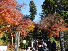 円覚寺総門は紅葉

鎌倉五山の第二位。
いつもながら見事な紅葉。