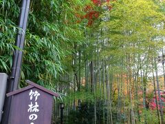 人気の「竹林の小径」

ここは入口です。奥まで行くと紅葉が綺麗でした。