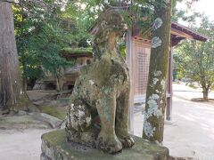 島根県に戻り、八重垣神社へ。
洋犬のような狛犬さん。