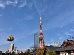 朝食を終え１１時のチェックアウトまで芝公園を散歩。
「ルイ・ヴィトン」と草間弥生さんのコラボレーションで
芝公園に草間アートの代表的なモチーフ、黄色いカボチャの
巨大なバルーンが浮遊してた。