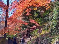 1時間揺られて終点栂ノ尾着。高山寺へは入口から5分位坂を登る。
京都はバス代が安い。1時間乗ってもなんと230円。