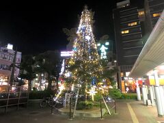 徳島駅前には恒例のクリスマスツリーが輝いていました。行きと同じく高速バスで舞子まで帰ります。
