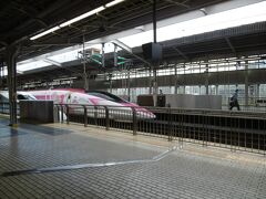 前回の振り返り
東海道新幹線で新大阪駅に移動し５００系を見ることができました（ハローキティのラッピング車でしたが）