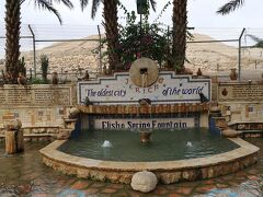 エリーシャの泉（Elisha’s Fountain）。
エリーシャの泉は、テル・アッスルターンのすぐ隣にあります。
旧約聖書の中で、紀元前 9 世紀の預言者エリーシャが、飲用に適さなかったこのジェリコの水源を、塩によって清めたという伝説のある泉です。