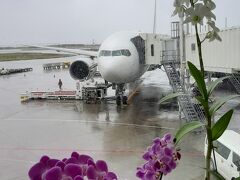 那覇空港に到着。

到着日は雨で強風でした。