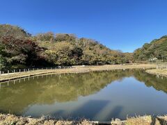 永福寺跡は広く更地になってましたが池がありましたよ