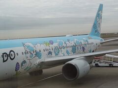 羽田空港からはエアドゥの飛行機に搭乗。