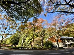 【福岡城跡】

この時期、黄葉/紅葉が少しづつ進んでいました...