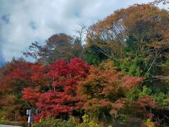 いろは坂を上って