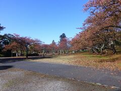 ホテルから歩いて２０分、鶴ケ岡城址公園へ朝の散歩