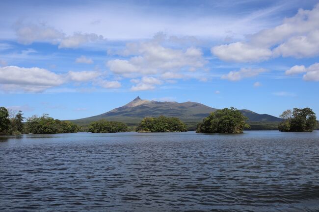 ■新古品・未開封■やのまん「大沼国定公園 駒ヶ岳と大沼」■2537 PIECES■77cm×107cm■ジグソーパズル