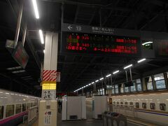 新潟の駅にやってきました。
あと一息で東京に帰ることができます。