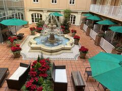 11月14日(月) 今日は朝からスッキリ良い天気。