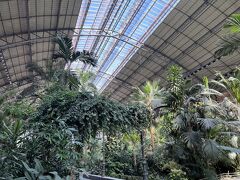 アトーチャ駅在来線側。
高い天井にジャングル。
まさしくジャングル、よく言えば自然満載。