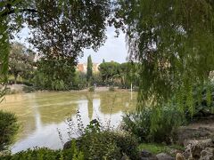 公園から。
バルセロナ・ウォーカーさんのいつもの中継場所。
綺麗な池ではないが、散策にはいいかな。

