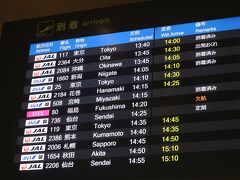 JAL117は大阪/伊丹に20分遅れの14:00に到着です。

大阪在住のIさんとは芦屋川駅で15時待ち合わせ。
間に合うかな？