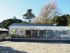 江の島　サムエル・コッキング苑にあるLON　CAFE

ここは人気のようでほぼ満席でした。