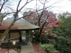 八幡山は、ロープウェイで上って展望台から景色を見て終わり、というわけではなく、山上にはかつて城が築かれていたため、今でも城の遺構や寺などが残っており、色々な見所があります。山の上なので紅葉はもう終わっているかと思いましたが、まだしっかりと残っていました。