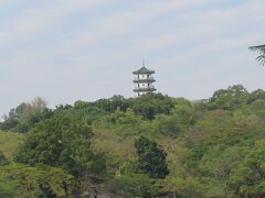 遠くに見える七重中興塔