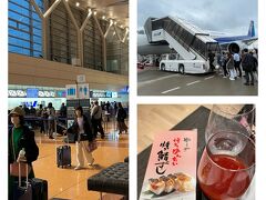 朝4時半起き、外はまだ暗かったです。
6時前に空港ターミナル着。那覇便の最終アナウンスなど、空港らしい雰囲気が戻っていて嬉しかった。
空弁工房で明太焼き鯖寿司を買って食べましょう。

7:45羽田発の大分行きはオープンスポットのエアバス。ほぼ満席です。
シートテレビの出し方に手間取った後、トップガンを見ました～