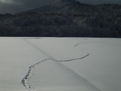 車での移動