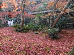 苔寺として有名な祇王寺も、その苔の上に、今は一面紅葉の落ち葉。