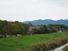 吉野ヶ里歴史公園 （吉野ヶ里遺跡）