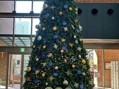 横浜ワールドポーターズのクリスマスツリーです。