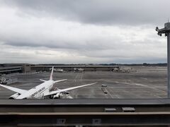 見学デッキから見る空港も、やや飛行機少なめですかね。

それでも、コロナが始まった頃よりはだいぶ飛んでると思います。