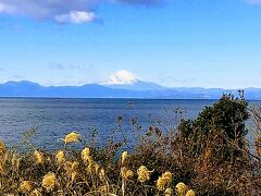 始発から電車を乗り継ぎ、京急線三崎口駅へ。その後、荒崎行きの京急バスに乗り、終点で下車。そこから徒歩５分ほどで荒崎公園に到着。まずは、「夕日の丘」と呼ばれる展望所に向かいます。
夕日の丘と名がついているだけあって、夕日がきれいなようですが、朝も素晴らしい眺め！しかも、人が全然いないです。
この景色を望めるベンチがあったので、こちらで朝食をいただきます。コンビニのおにぎりがおいしい。