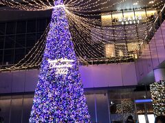 名古屋駅のクリスマスイルミネーション
ちょうど夜8時に着いたらイルミネーションの色が変わった