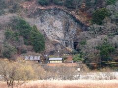 円山川の先に国の天然記念物玄武洞が見えました。玄武洞は160万年程前の火山活動により流出したマグマが冷え固まった際に作り出された規則正しい綺麗な割れ目が特徴的な柱状節理です。6000年程前に河川の侵食により玄武岩がその姿を現しましたが人々が玄武岩を採取したため洞窟化したそうで、洞窟は天然のものではなく採掘跡地だったようです。