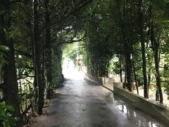 2日目
09:50　フクギ並木周辺に到着。相変わらず雨。観光客ゼロ。
　雨でもきれい。周辺を徒歩で見学。予定ではレンタサイクルで散策しよう思っていたけれど、雨なので徒歩でちょっとだけ見てまわった。
