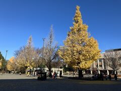 JR公園口の前あたり。紅葉が残っています。