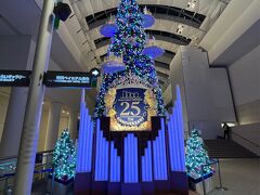 クイーンズスクエア横浜には「カナデル・クリスマス」。
床に光る鍵盤があって、その上に乗ると音が出る仕組み。