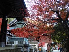 大山寺駅もあるので、ケーブルカーで途中下車して
見に来ることもできます。