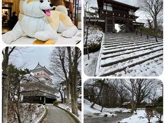 沖縄旅行とは全く関係ないのですがハプニングの序章はここ(秋田)から始まります。
沖縄に行く前日まで仕事で秋田に行ってました。12月中旬ですが秋田市内は既にこの雪景色、明日から沖縄に行くとは思えない季節感のギャップを感じてます。

この日は秋田に早入りして久保田城跡を見学して来ました。関ヶ原の戦い後、秋田に転封となった佐竹義宣の居城ですが今は表門と御隅櫓くらいしか見処はありません。極感の中、足を滑らせながら頂の御隅櫓まで行ったのですが… 12/1より休館とのこと
( ꒪⌓꒪) google map 信用ならん！

(追伸)
この出張が後で大変なことに…