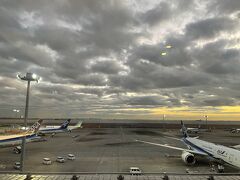 https://4travel.jp/travelogue/11799003
こちらの続きです。


思い切りの曇り空の朝です（笑）
まだ飛行機も混みあってはいませんね。
