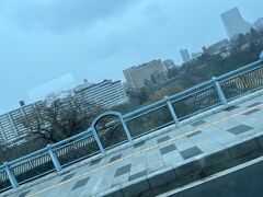 広瀬川と言われ、慌てて写真を撮ったら斜めになってるわ、川は映っていないわで、何の写真？？？って感じ。