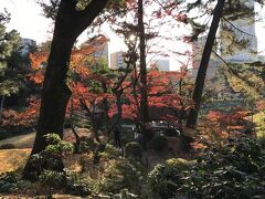 浅野藩別邸縮景園は紅葉が見頃だった。