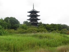 備中国分寺へ。国分寺は奈良時代、聖武天皇の発願によって全国各地に建てられたことが知られているが、現存の五重塔は、江戸時代後期の弘化元年（1844年）頃に完成したと考えられている。