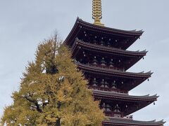 続いて浅草散策。なんか朝よりも寒い。雨は幸い止んだけど、冷える―。